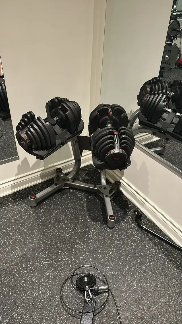 Bowflex Dumbell/rack