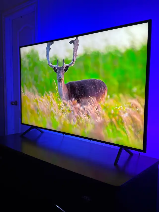 Samsung 58” 4K Smart TV - AMAZING CONDITION in TVs in City of Toronto - Image 3