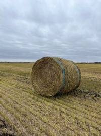 LARGE ROUND FLAX BALES