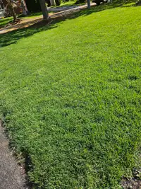 Lawn mowing