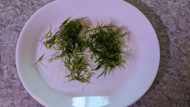 Guppy Grass - Plantes aquatiques pour aquarium dans Poissons à adopter  à Longueuil/Rive Sud - Image 4