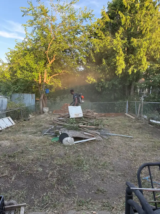 Landscaping & Lawn Care Services | Yard Cleanup & Grass Cutting in Lawn, Tree Maintenance & Eavestrough in City of Toronto - Image 8