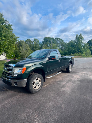2013 Ford F 150 XLT