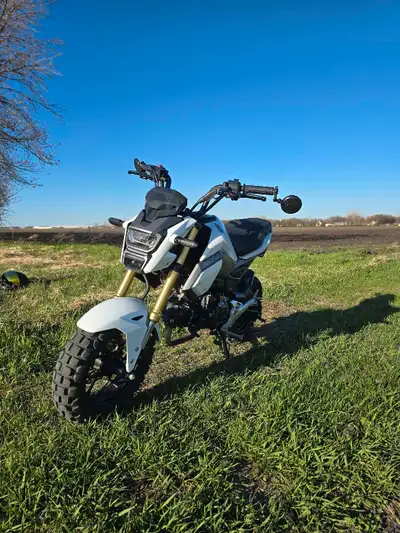 I bought the bike with 408 Km and have hit just over 10xxx Km as of now. I've maintained the grom ex...