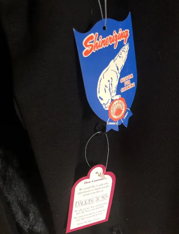 mink lined coat in Women's - Tops & Outerwear in Mississauga / Peel Region - Image 3