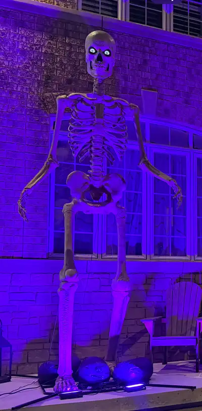 12ft Home Depot Skeleton , View more