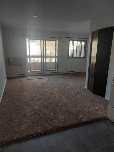 50 + Senior Bachlour Suite