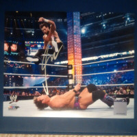 Fandango signed WWE 8 x 10 wrestling photo with COA