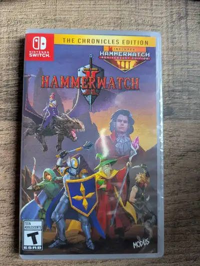Nintendo switch Hammerwatch 2, View more