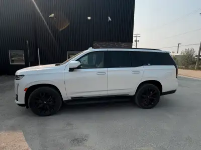 Very rare and well optioned Cadillac Escalade premium lux White tricoat with tan and brown interior...
