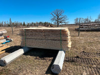 Spruce 1”x6”x8’ Shelter-belt Boards