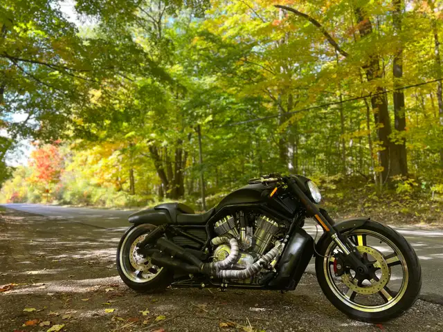 Harley Davidson V-rod Vrod muscle 2015 in Street, Cruisers & Choppers in Cambridge - Image 10