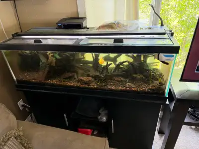 60 gallon Breeder Aquarium, View more