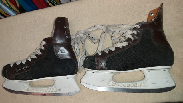 Vintage skates - Gretzky/Hull/CCM/Bauer in Arts & Collectibles in Red Deer
