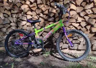 Le vélo de montagne pour enfant DCO Spirit 20 pouces est un vélo hautement durable. Il a toujours ét...