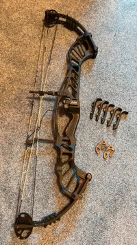 Hoyt Invicta 37 Compound Target Bow