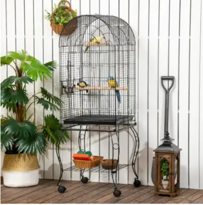 I am rehoming my beautiful green-yellow-sided Green Cheek Conure named Daisy. Daisy is 9 years old a...