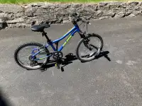 Youth bike