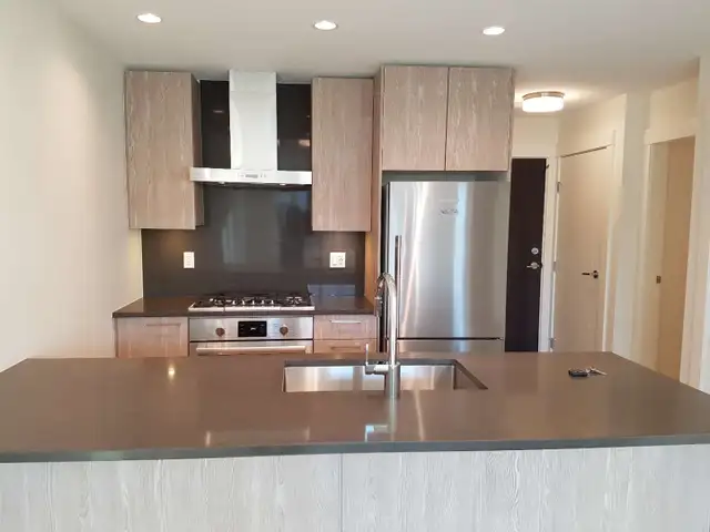 Richmond 1BR   Den | High Floor | Bright | Gym