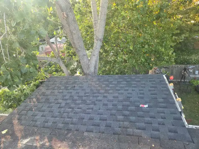 25% OFF ROOF REPAIRS560635979949025281