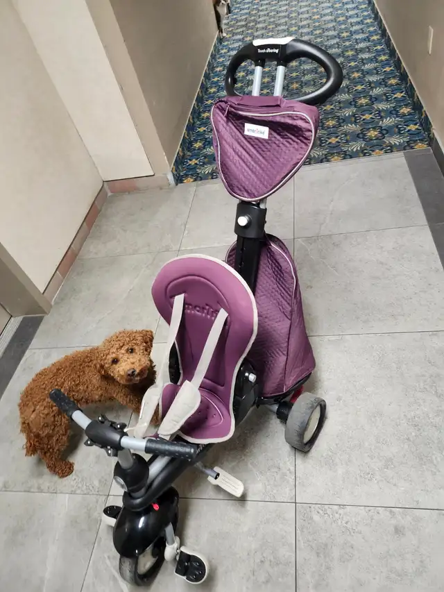 SmarTike kid stroller for sale,asking 50$ in Kids in Windsor Region - Image 5