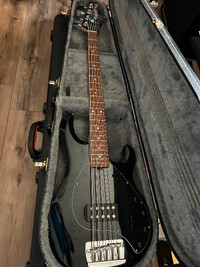 Sterling Ray 5 Bass Guitar