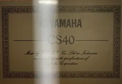 La CS40 est spécialement conçue pour les guitaristes novices avec un diapason court et un corps comp...