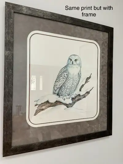 SNOWY OWL unframed print, View more