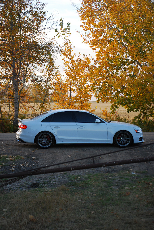 2014 Audi S4 in Cars & Trucks in Edmonton - Image 2