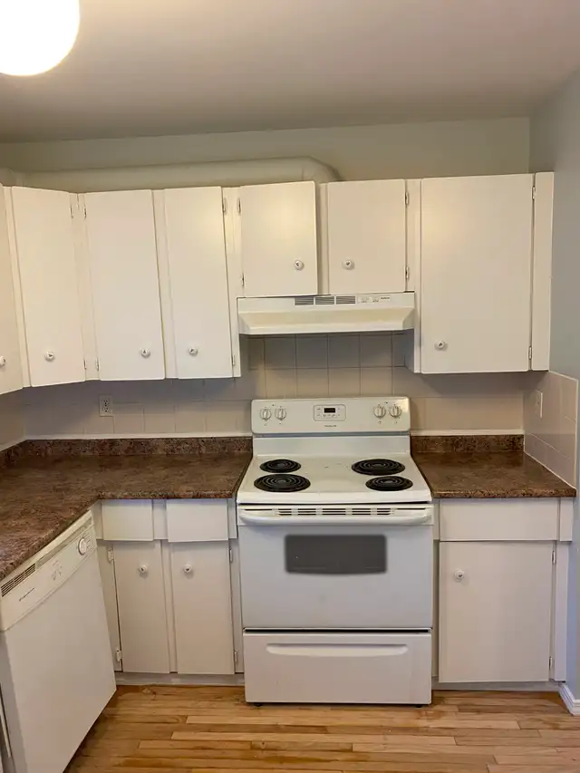 painting services539353942412513288