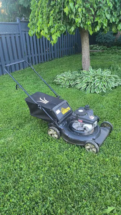Gas Lawn Mower, View more