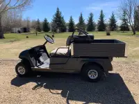  Utility Gas Golf Cart