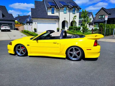 ** Immaculate shape Zinc Yellow Mustang GT Convertible local bc car clean title No accidents Summer...