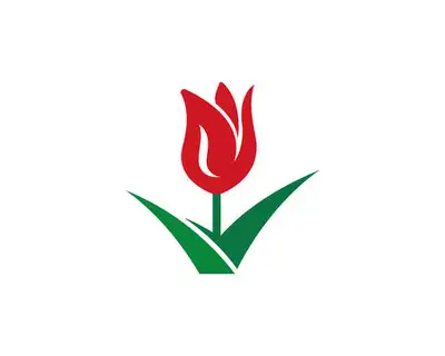 TULIP CLEANING & CARPET CLEANING, View more