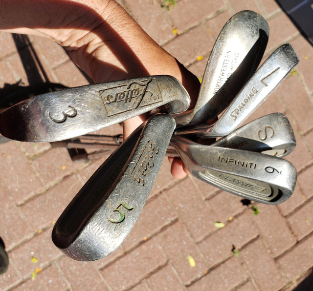 Golf kit lady left complete wood iron bertha ball set Galloway in Golf in Ottawa - Image 3