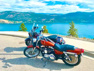 Custom 1200 Sportster, mint condition, comes with sissy bar, clip on windshield, neon under lighting...