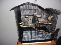 cage perruche