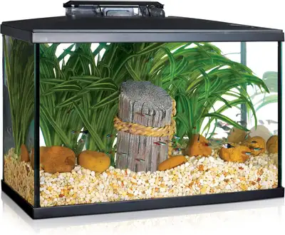 HAGEN MARINA ACQUARIUM, View more