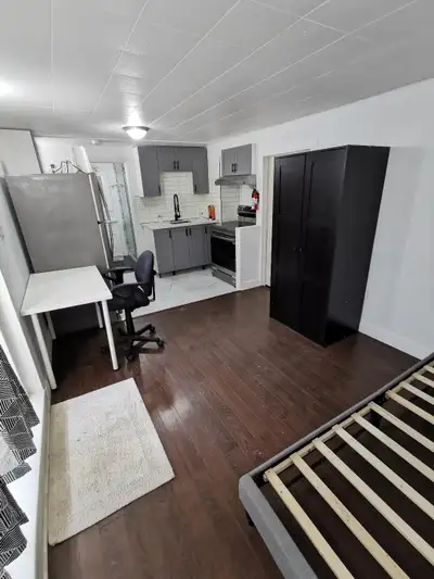Newly Renovated Basement Studio apartment. (Annapolis and Stevenson) Available from August 1st Rent...