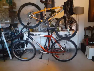Schwinn and Supercycle Bicycle, View more