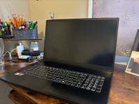 17.3” Gaming Laptop MSI GF75