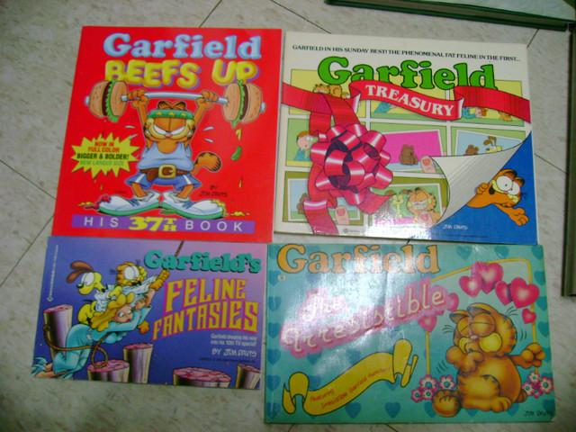 4 GARFIELD BOOKS in Comics & Graphic Novels in Ottawa