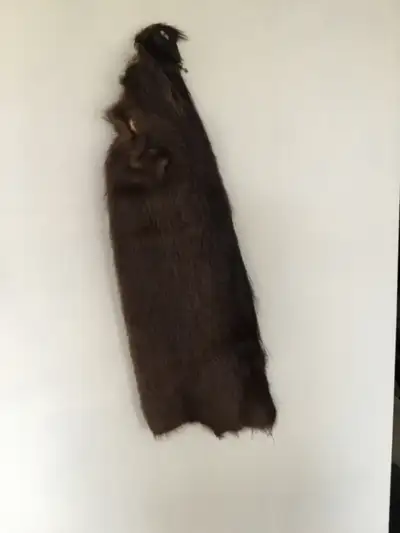 Nutria Fur Pelt, View more