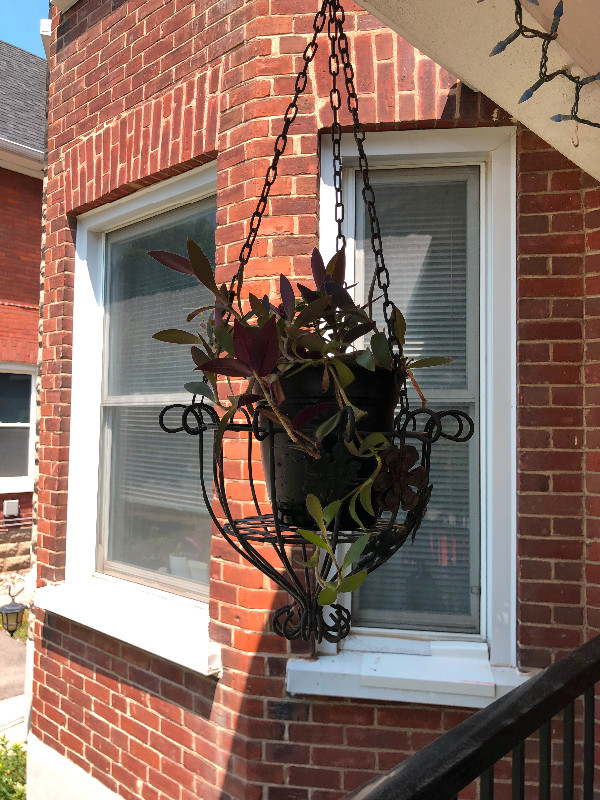 Hanging Flower Baskets/Planters in Outdoor Décor in Peterborough - Image 4