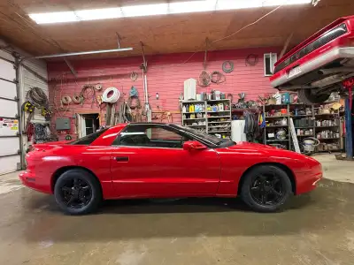 Pontiac Formula Firebird 1995 in great condition -LT1 5.7l V8 -New paint job -interior is like new A...