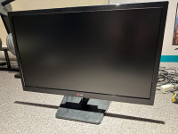 LG 23" 1080p Computer Monitor (Model 24EN33)