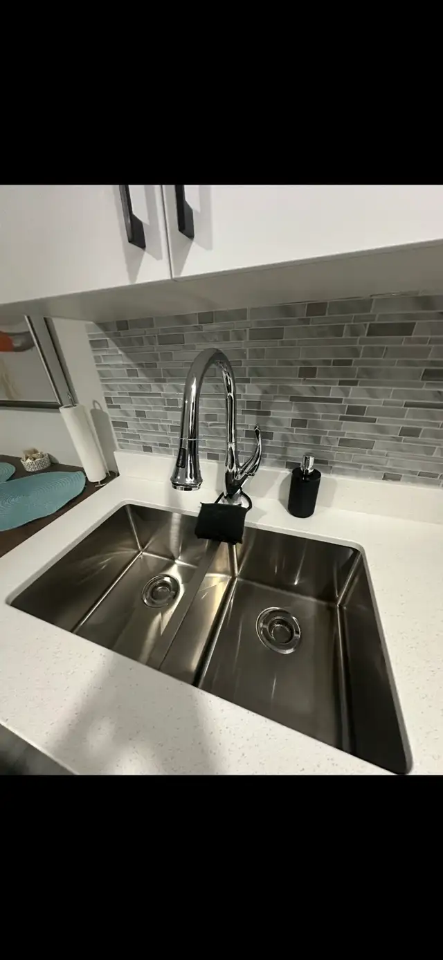 Professional House Cleaner427927857047152643