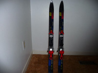 Elan Spitfire Skis