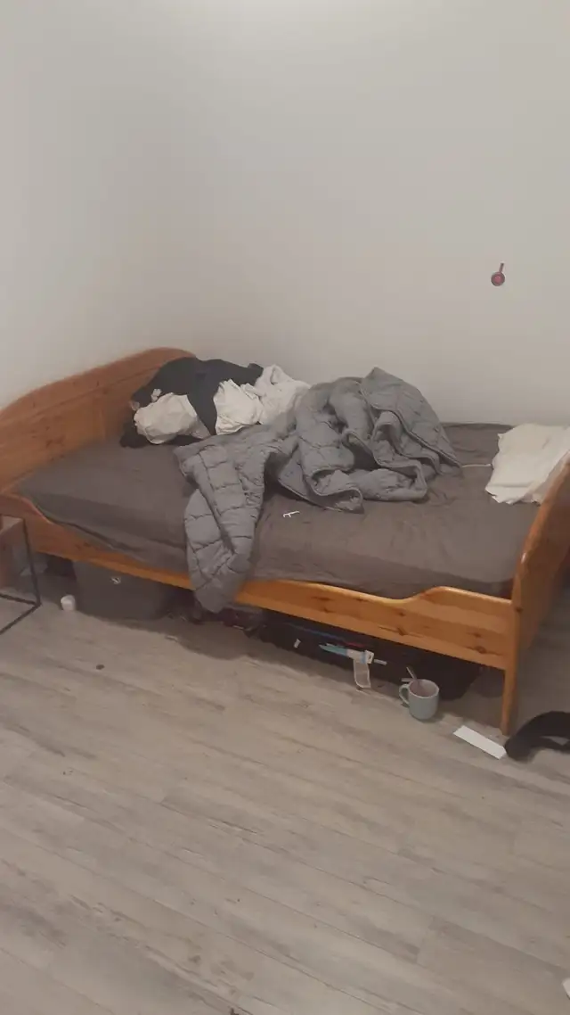 Coloc recherché in Room Rentals & Roommates in City of Montréal - Image 7