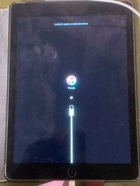 iPad Air 2/Cellular (SIM) +wifi ,10.6”(27cm)